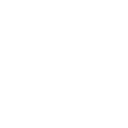 logotipo de LION STUDIO